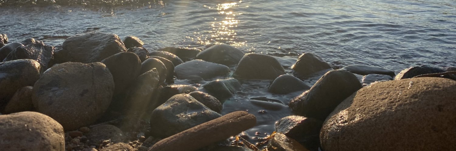 PockitEditon's profile banner image