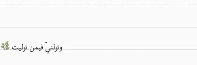 𝑺𝒂𝒓𝒂 𝑨𝒍𝒋𝒖𝒉𝒂𝒏𝒊🌵 banner