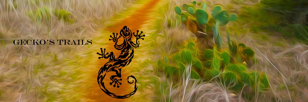trails_s's profile banner image