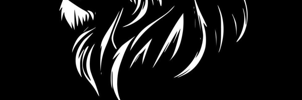 THELIONRJ's profile banner image