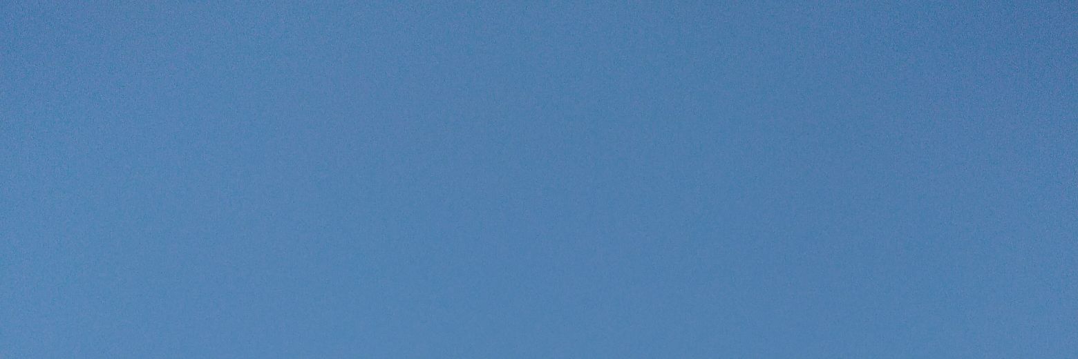 Terry banner
