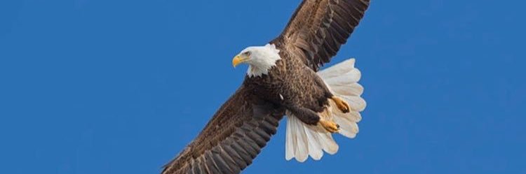 farsbenhariz's profile banner image