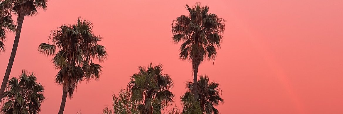 lisapichard's profile banner image