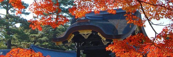 나비 🦋 나모 Profile Banner