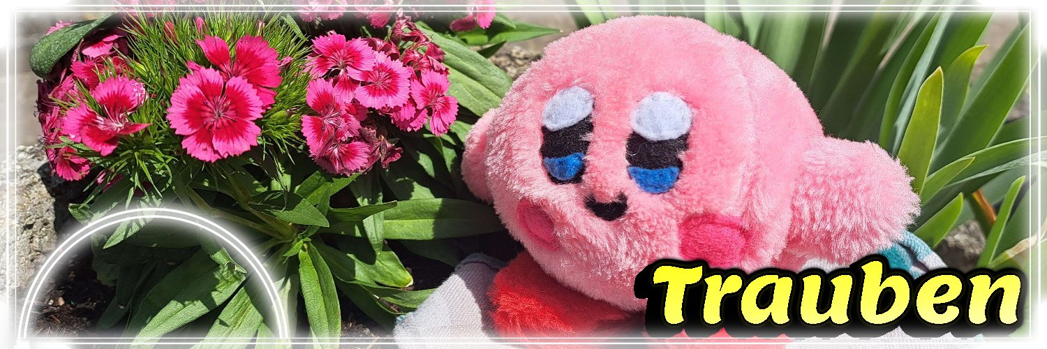 HELLO I'M TRAUBEN🍋 banner