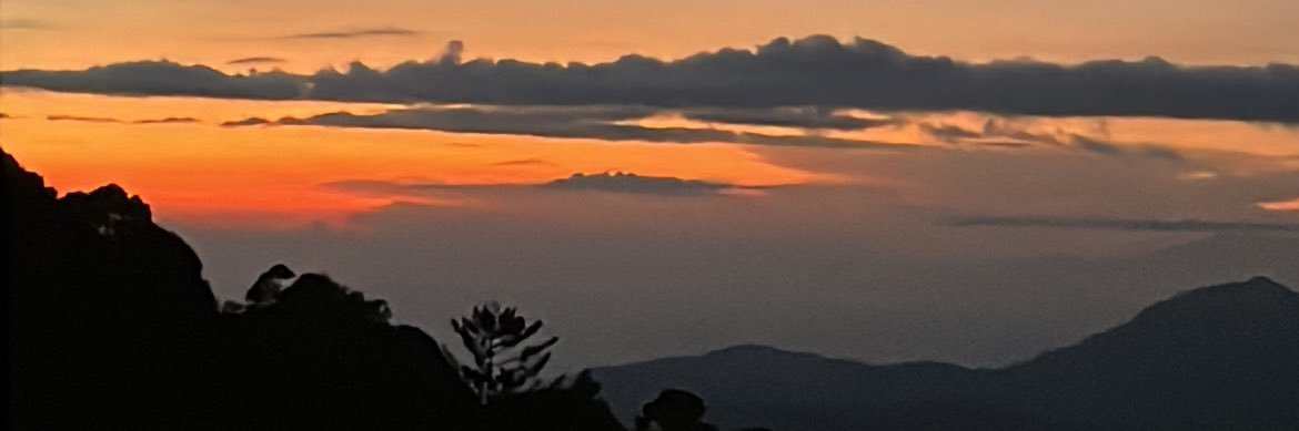 itsnci👸🏻 banner