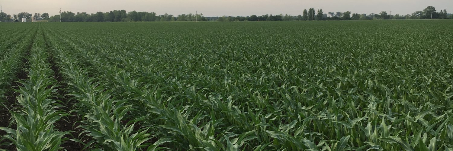 Brooks Cardinal banner