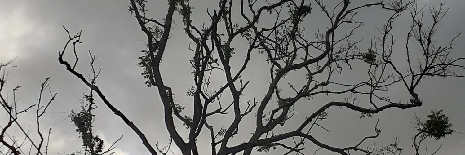 rawatalain's profile banner image