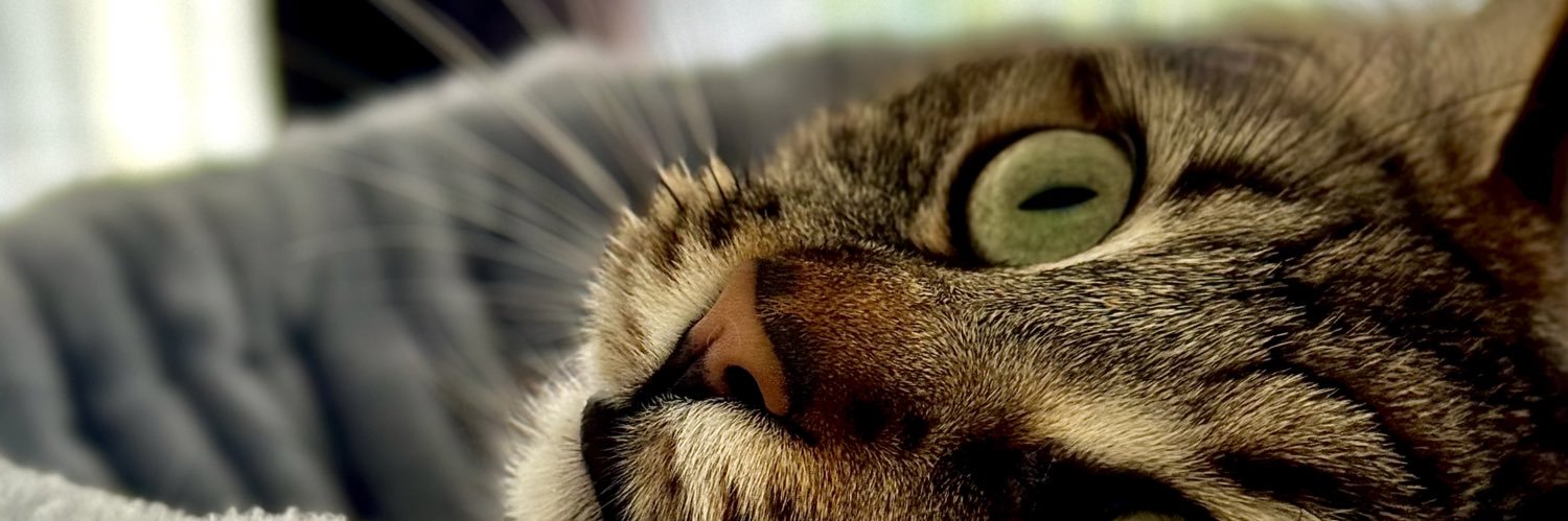 badturn_'s profile banner image