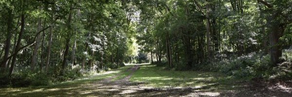 RunWytham Profile Banner