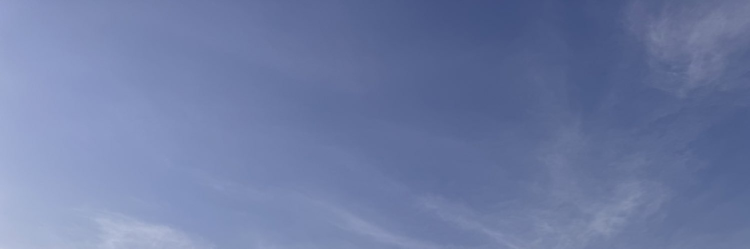 田宮でん@🦚🦚's banner