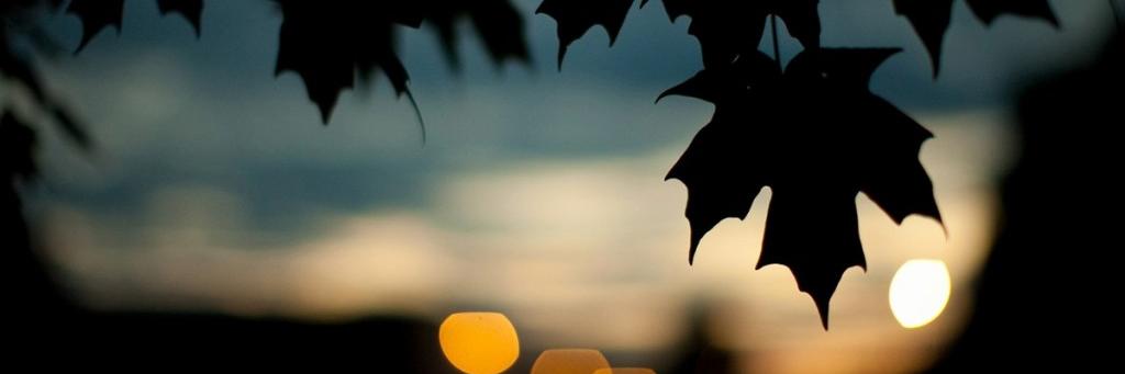 yo_ana banner