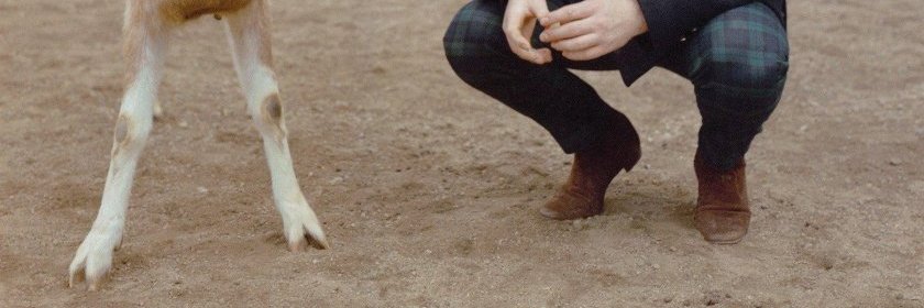 Shevvy’s Pictures banner