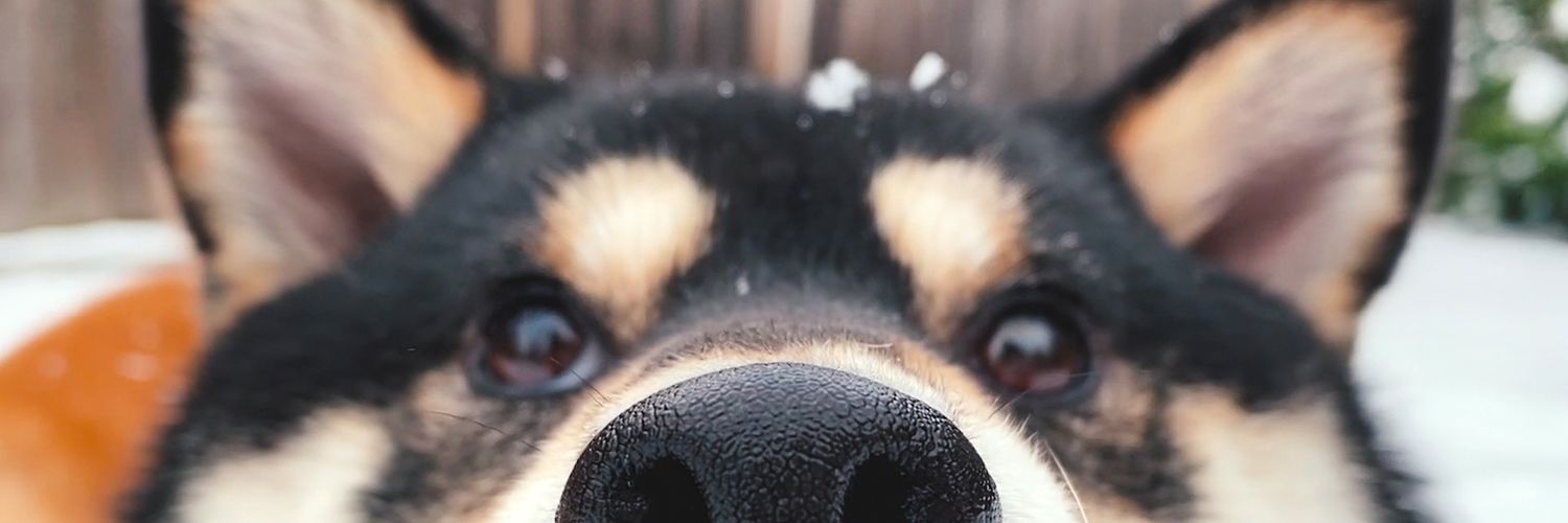 cpx20664692's profile banner image
