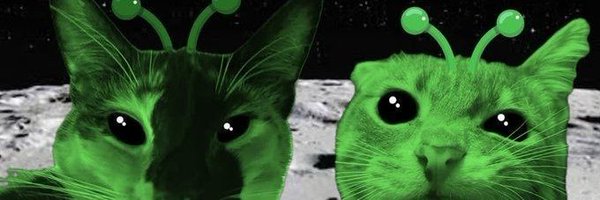 mochipspsps Profile Banner