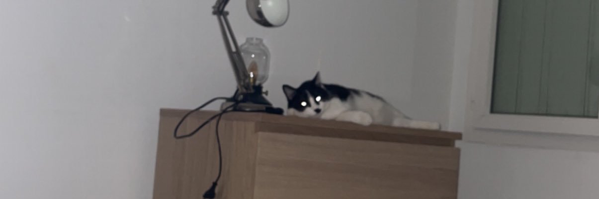 AGastaldello's profile banner image