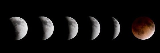 PatrickNorman8's profile banner image