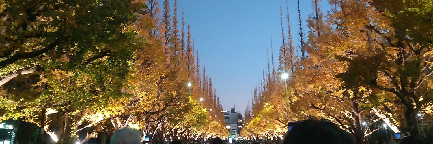 nanasantw's profile banner image