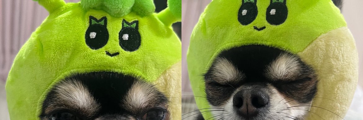 bndhahaha's profile banner image