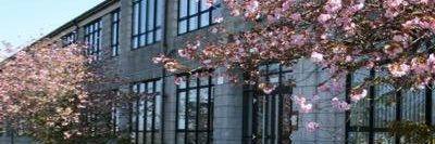 sma_numeracy's profile banner image
