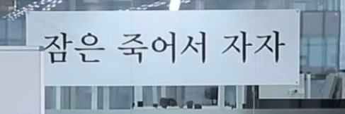 보우 banner
