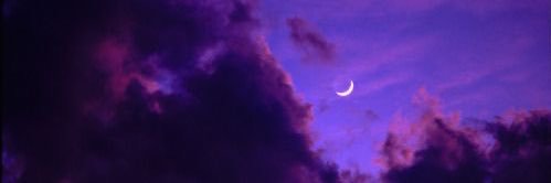 Shannon Taylor banner