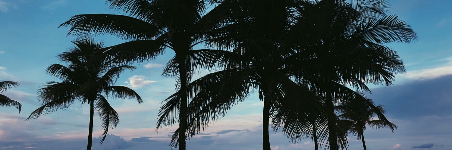 ryley_johnson's profile banner image