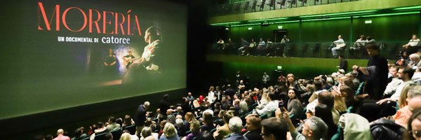 davidcalzad Profile Banner