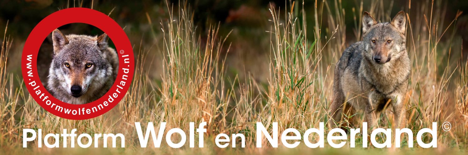 Platform Wolf en Nederland banner