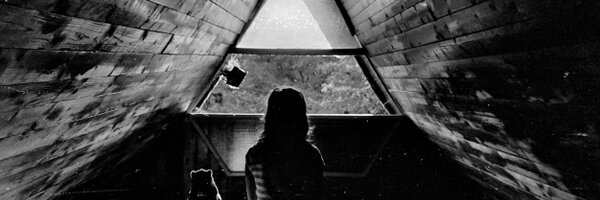 sivancic Profile Banner