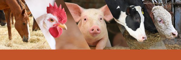AlltechIreland Profile Banner