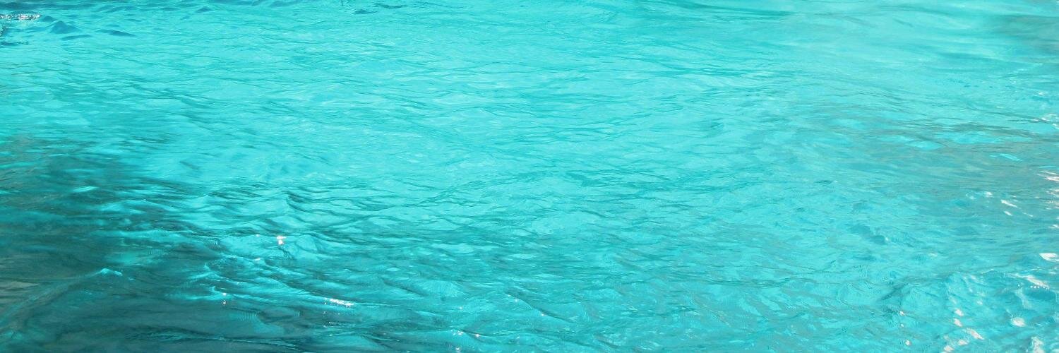 beyourbird's profile banner image