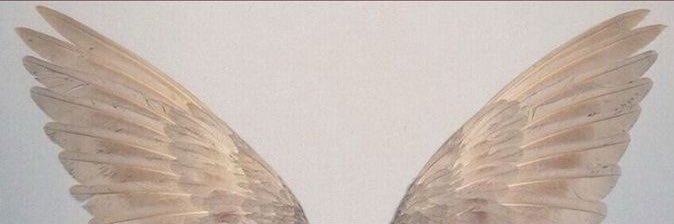 حـ 🕊️ banner