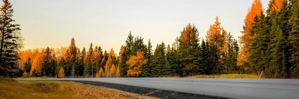 vincevargadev Profile Banner