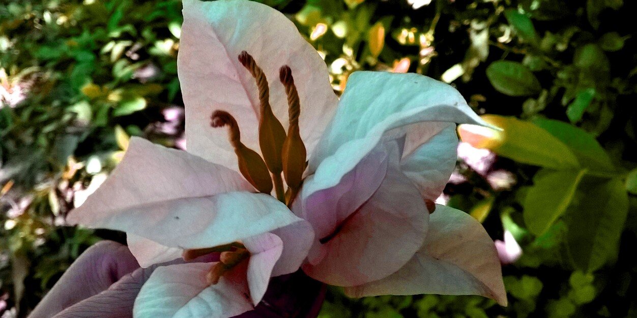 kareno_m's profile banner image