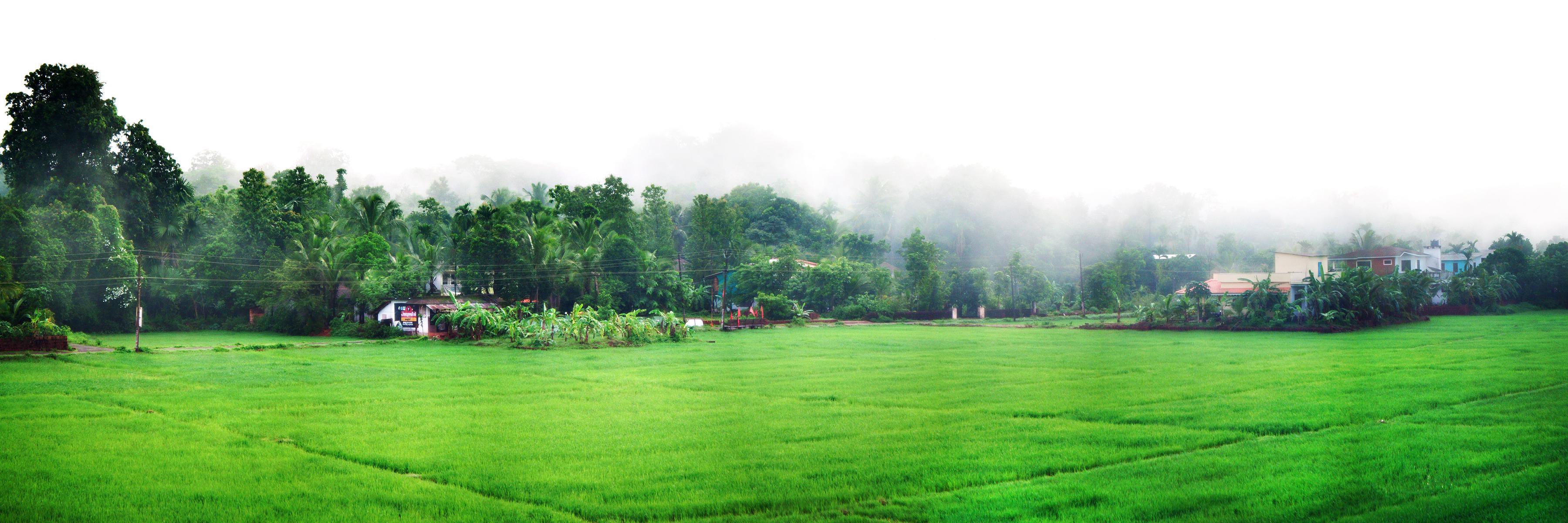 amal_krish's profile banner image
