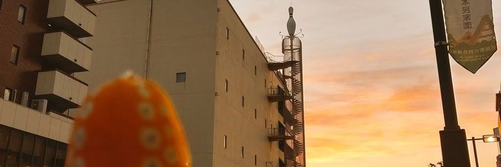 めとろん🍵 banner