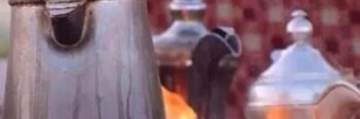 محمد جاسم الفضلي banner