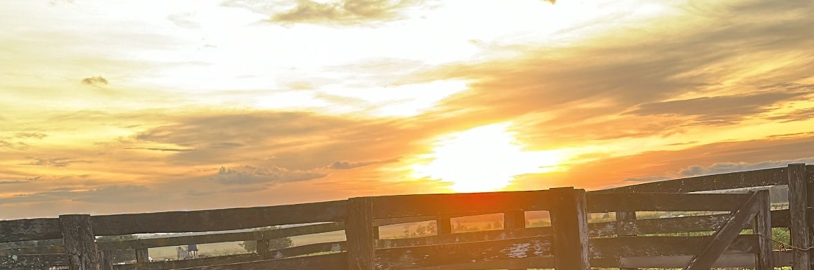 GabrielaCBasso's profile banner image