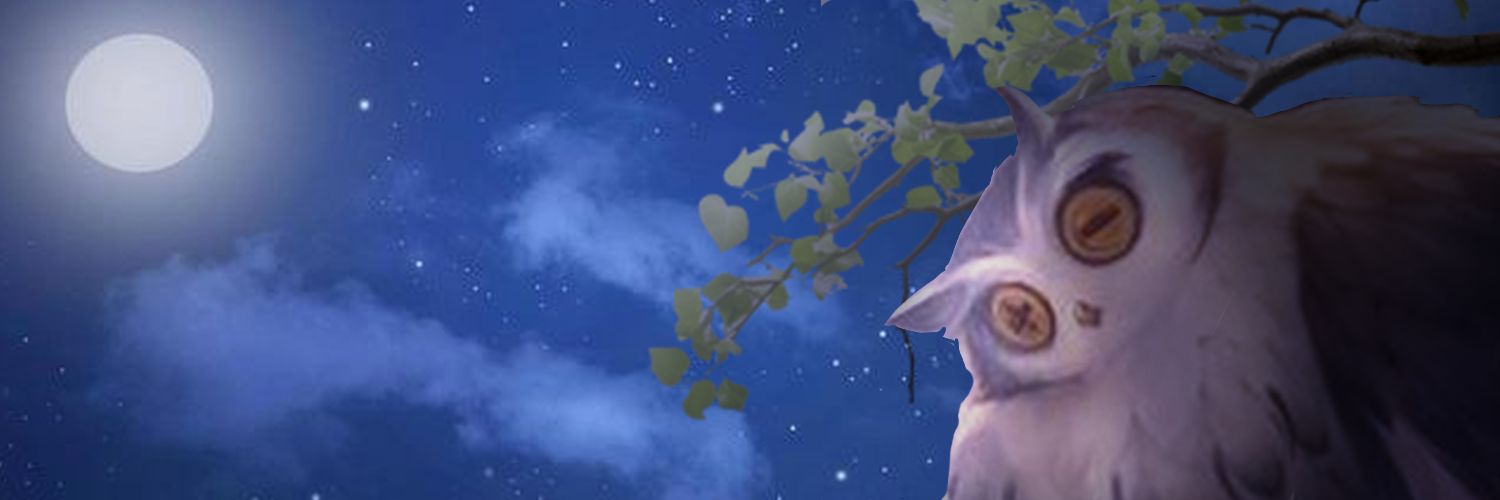 Melzee!✨🦎 banner