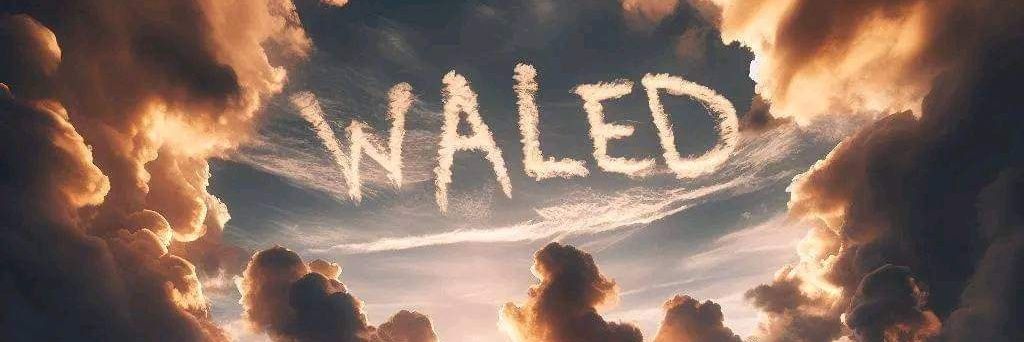 alakidi1's profile banner image