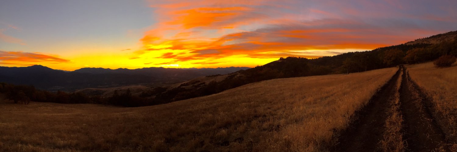 Tyler_Martin44's profile banner image