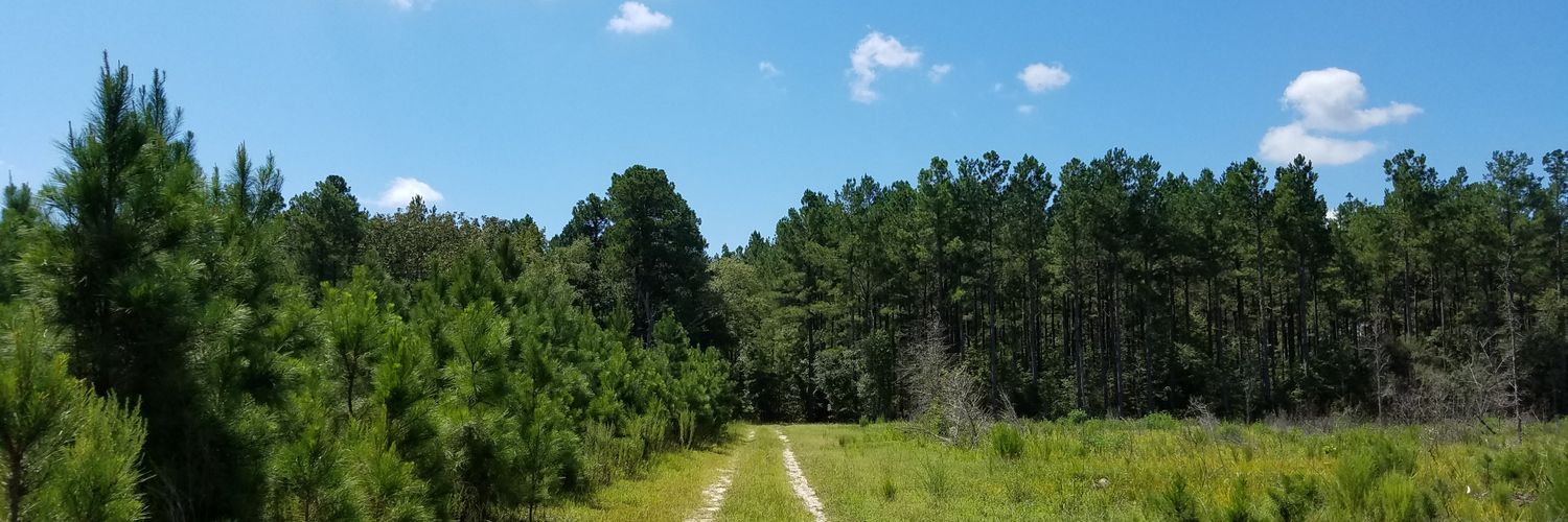 zane0922's profile banner image