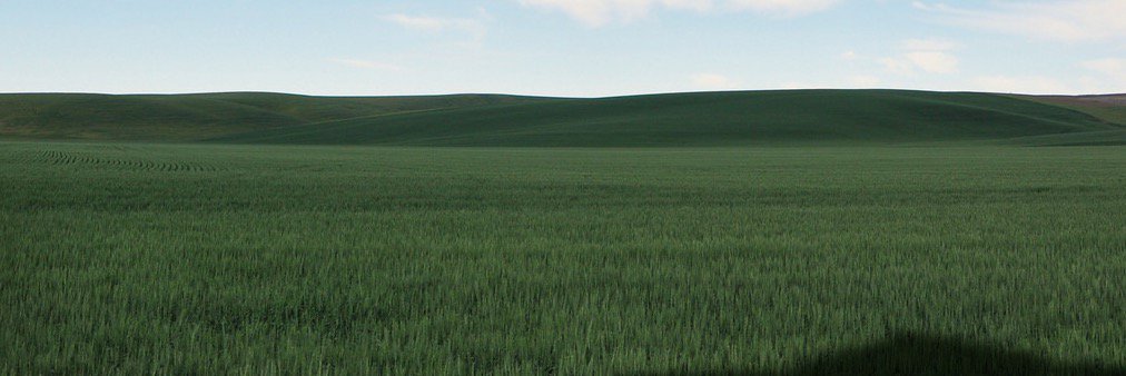 Aaron Rincover banner
