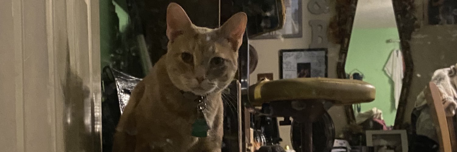 litfuckanthony's profile banner image