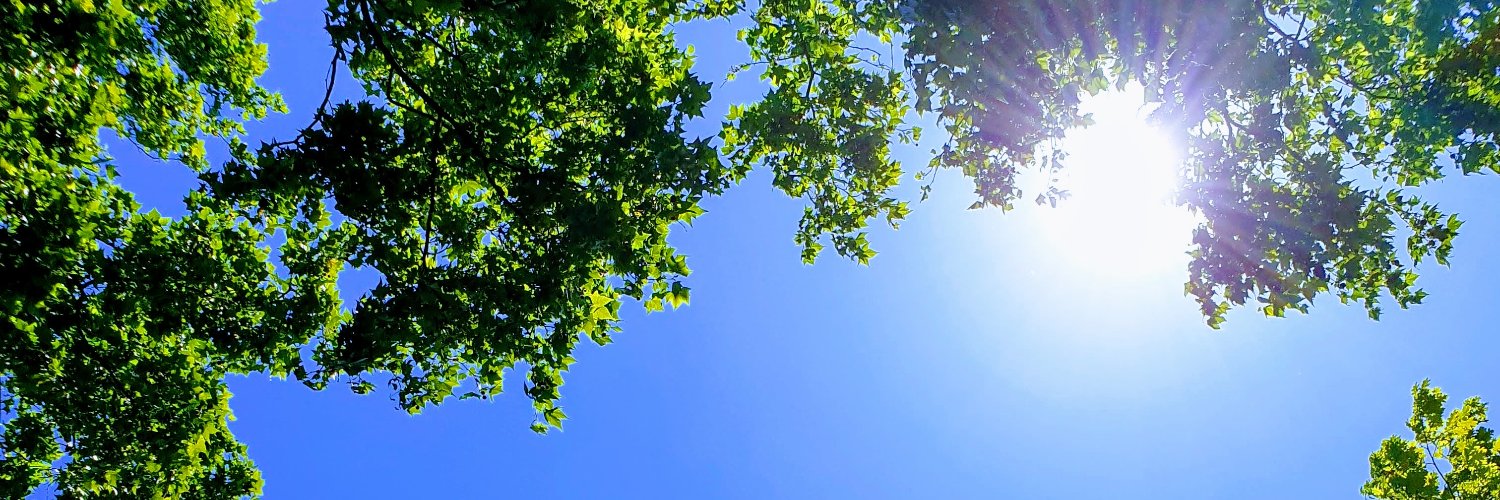 IsaDeligniere's profile banner image