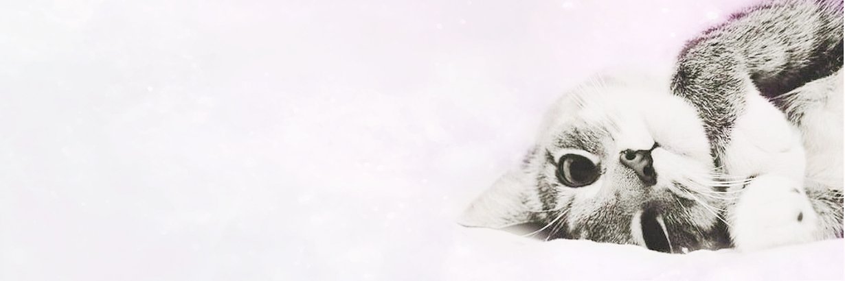 IsabelleValois's profile banner image