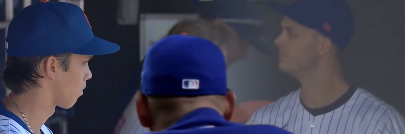 Mets Fan Manager banner