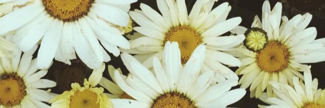 Brittany Joseph banner