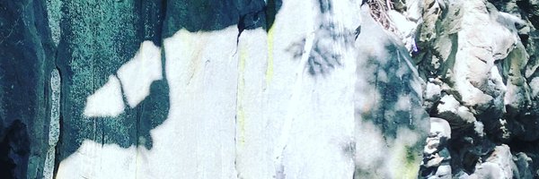 andrew_stier Profile Banner